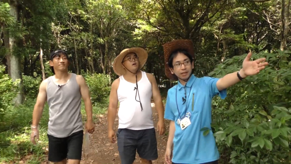 バラエティ番組
